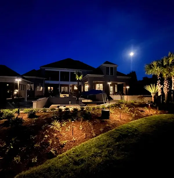 Modern house with illuminated landscape lighting at night, featuring palm trees and a moonlit sky.